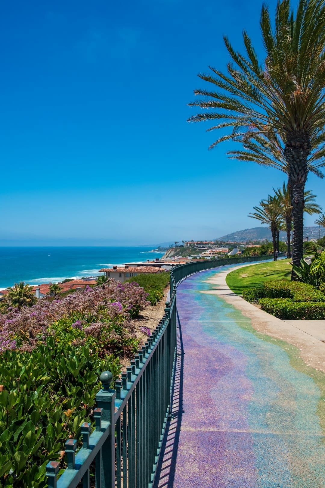 Kursus nadmorski w Kalifornii