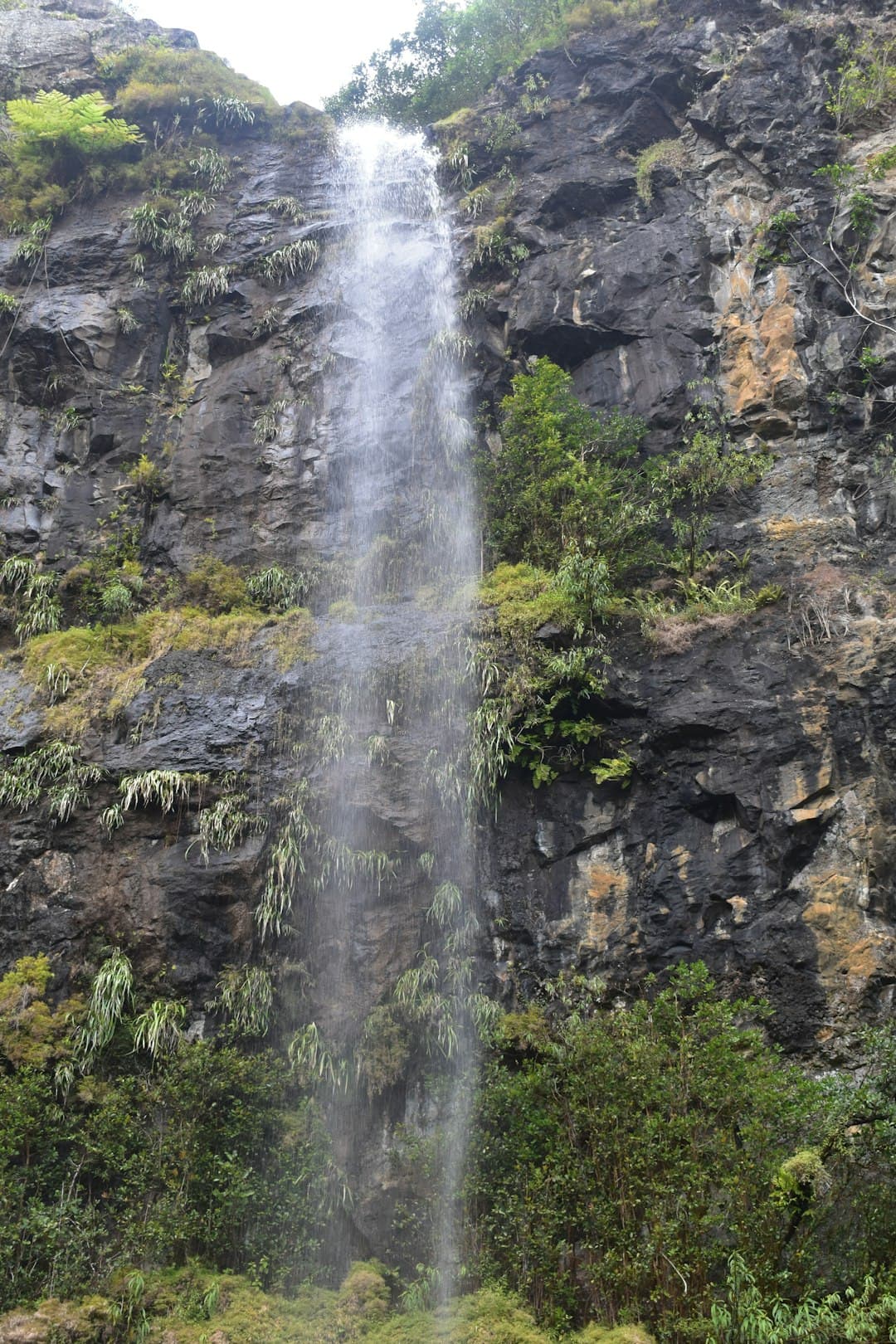 Szlak trekkingowy w Parku Narodowym Black River Gorges