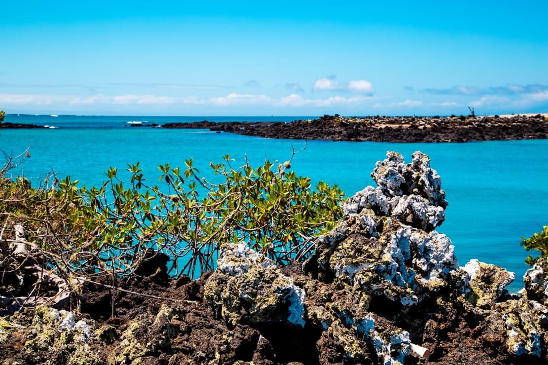 Wyspy Galapagos z turkusowymi wodami i bujną roślinnością