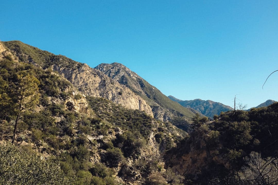 Piękne szlaki trekkingowe w Los Angeles