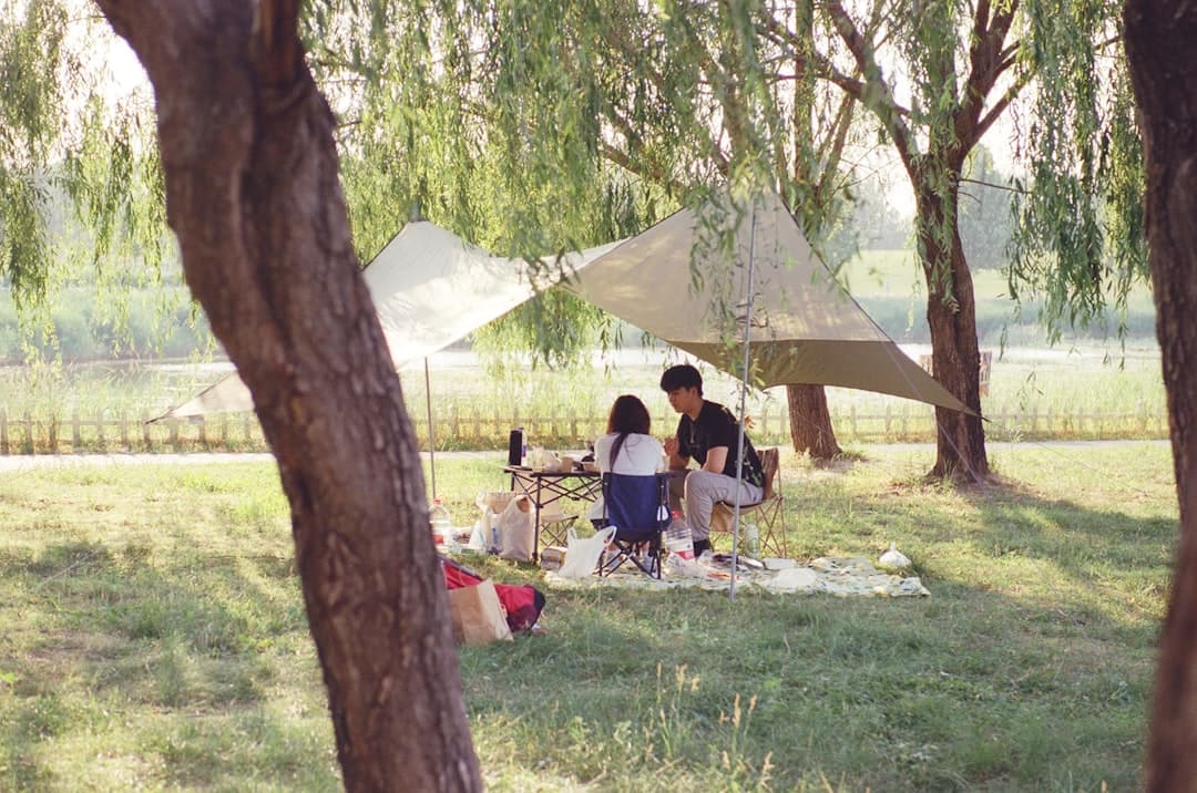 Rodzinny piknik w pięknym parku