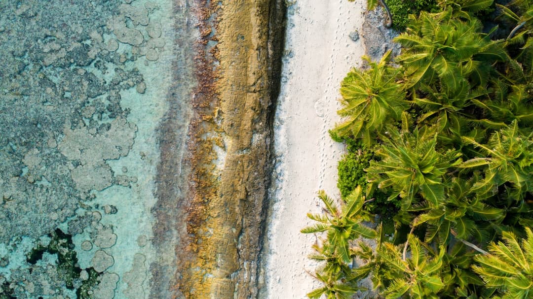 Tropikalna plaża w Aitutaki z kryształowo czystą wodą