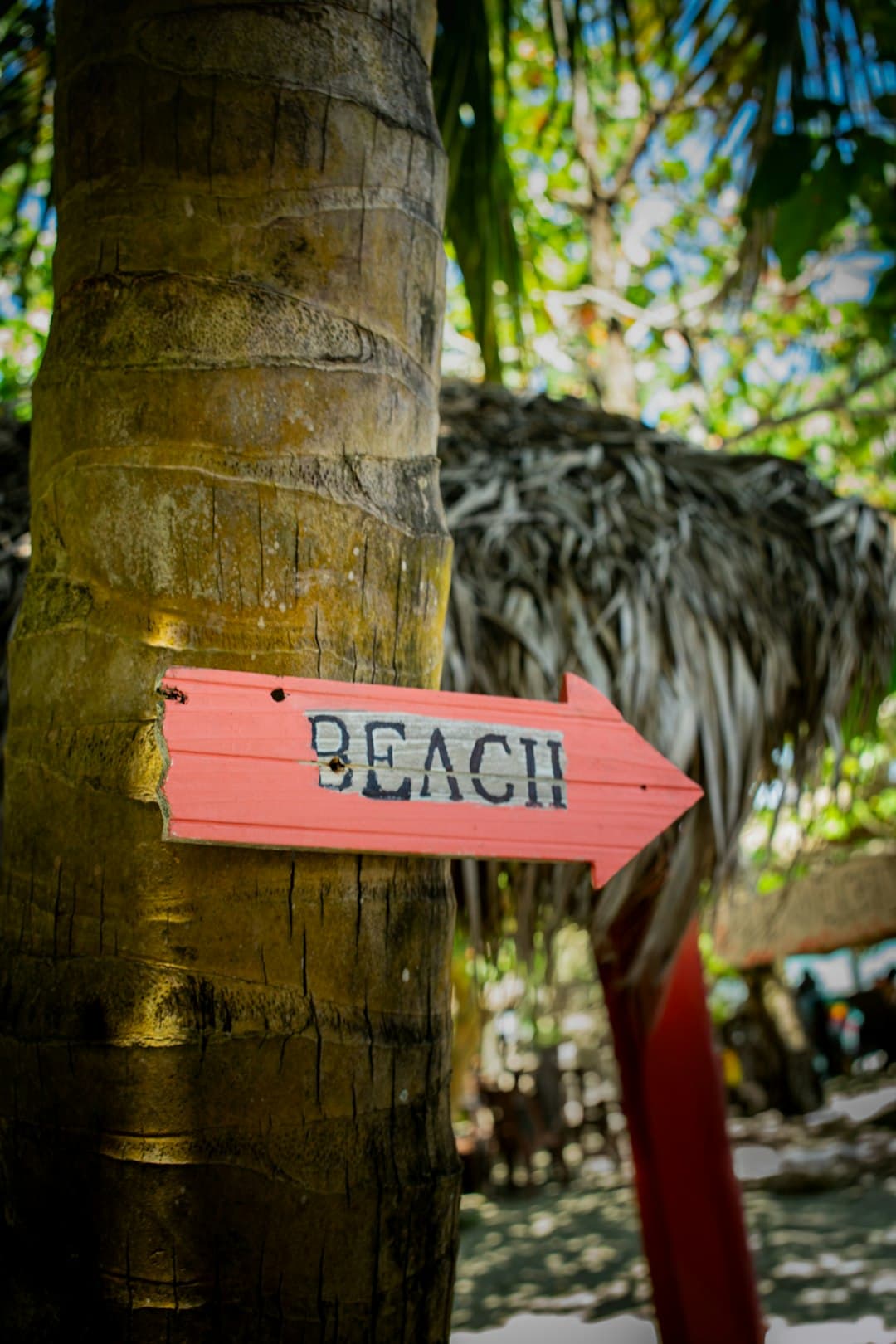 Przewodnik po Diani Beach z tropikalnymi klimatami