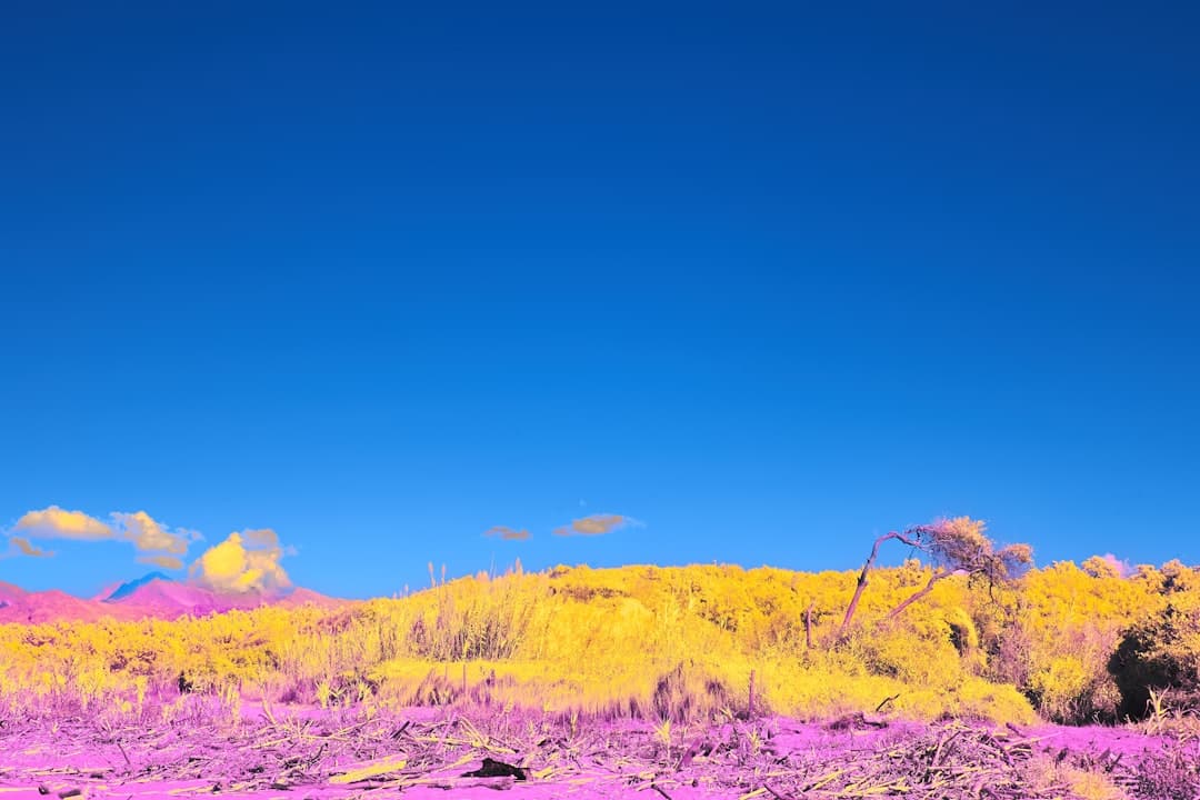 Widok na górę Otemanu z plaży Bora Bora