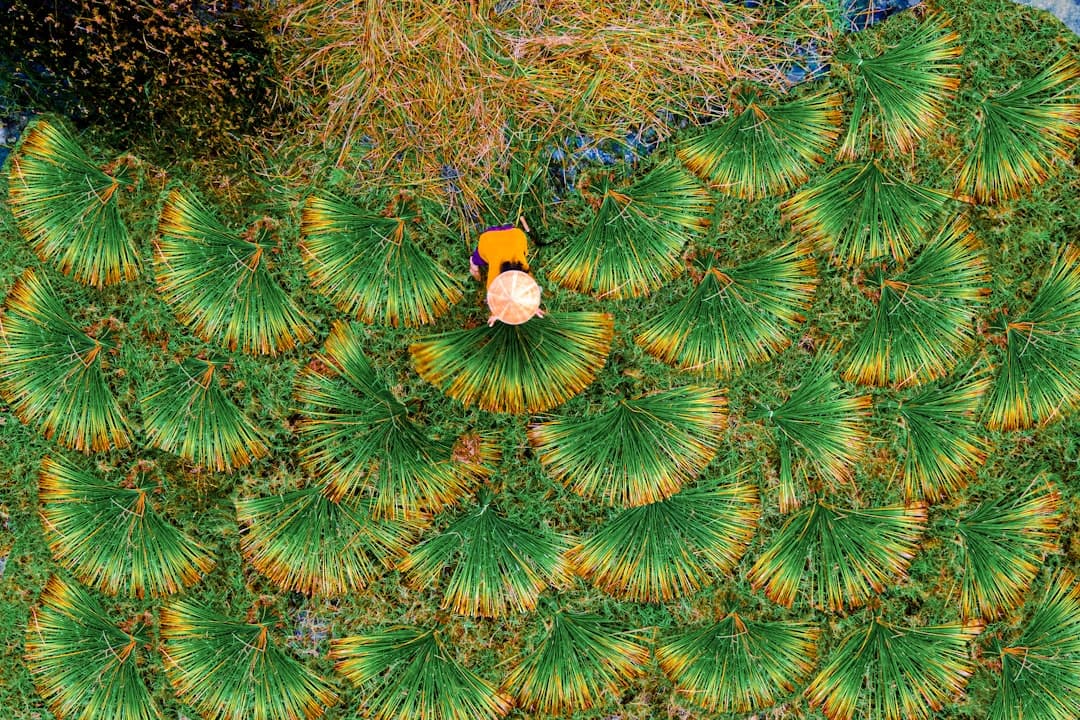 Ludzie zwiedzający Lagoonarium w Bora Bora