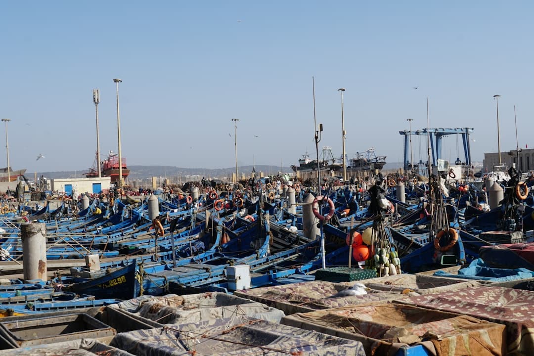 Targ rybny w Essaouirze