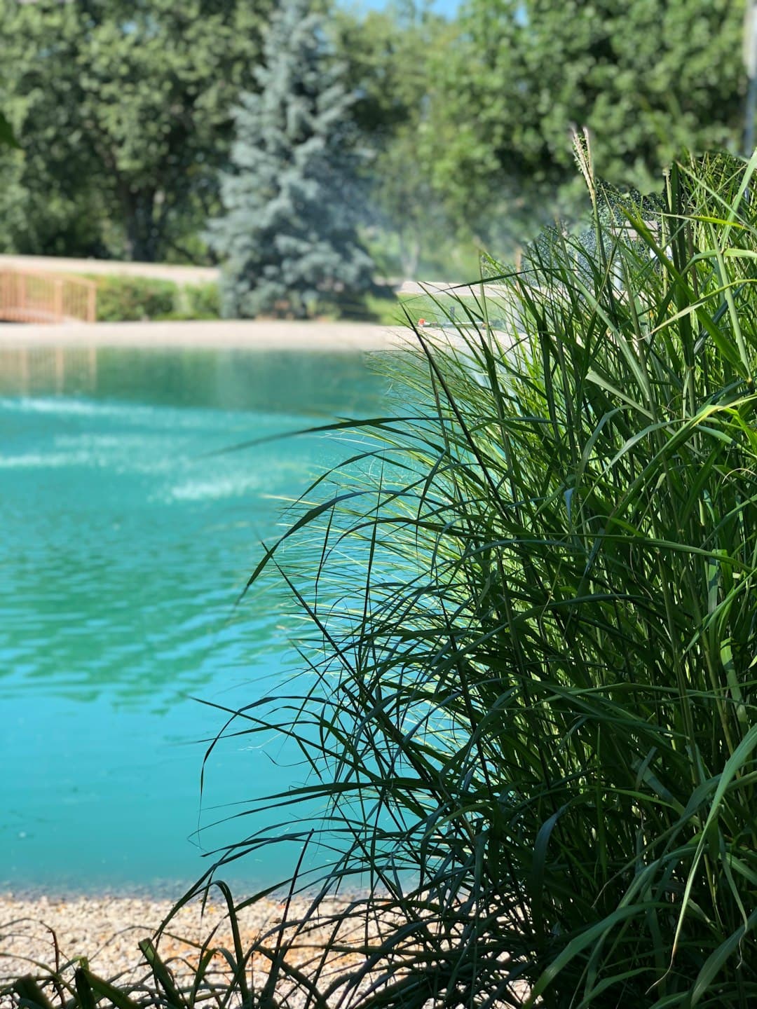 Relaks w gorących źródłach w pięknej naturze