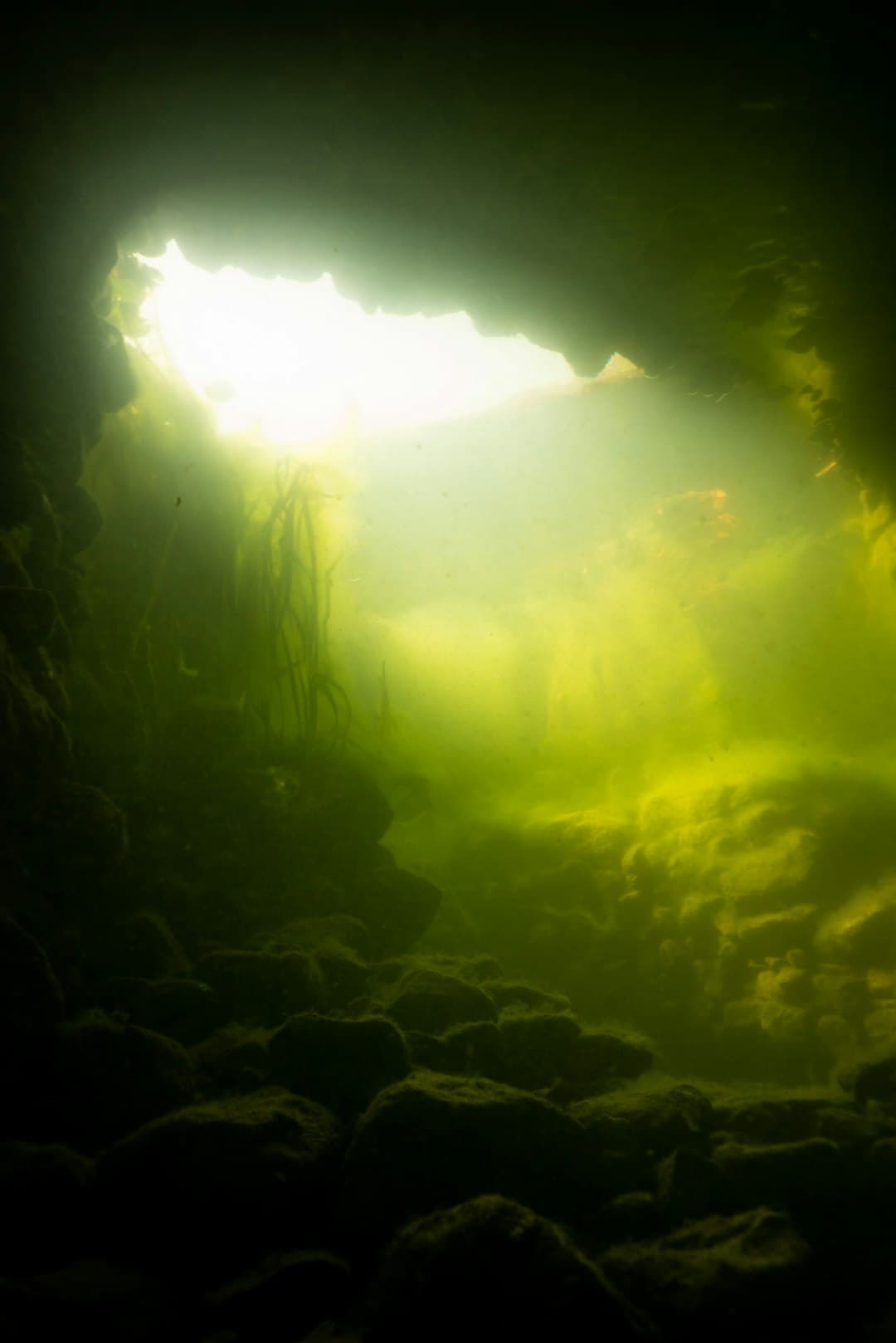 Światło słoneczne filtrujące przez krystalicznie czystą wodę w cenote