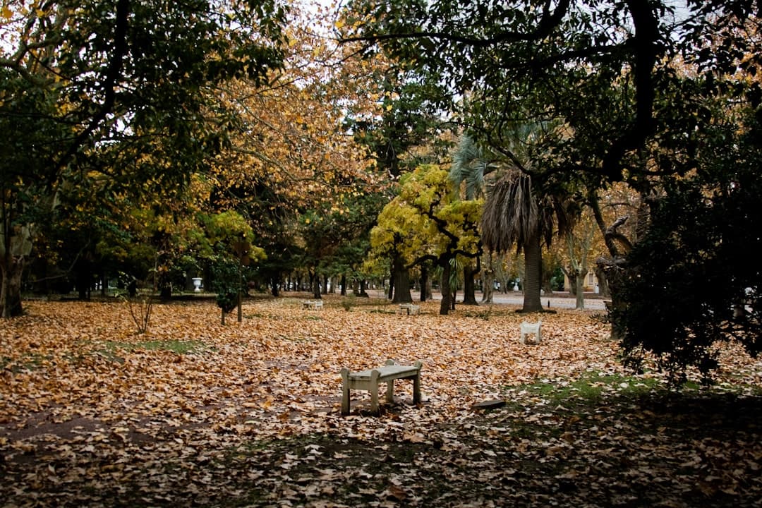 Ludzie cieszący się naturą w parkach Buenos Aires