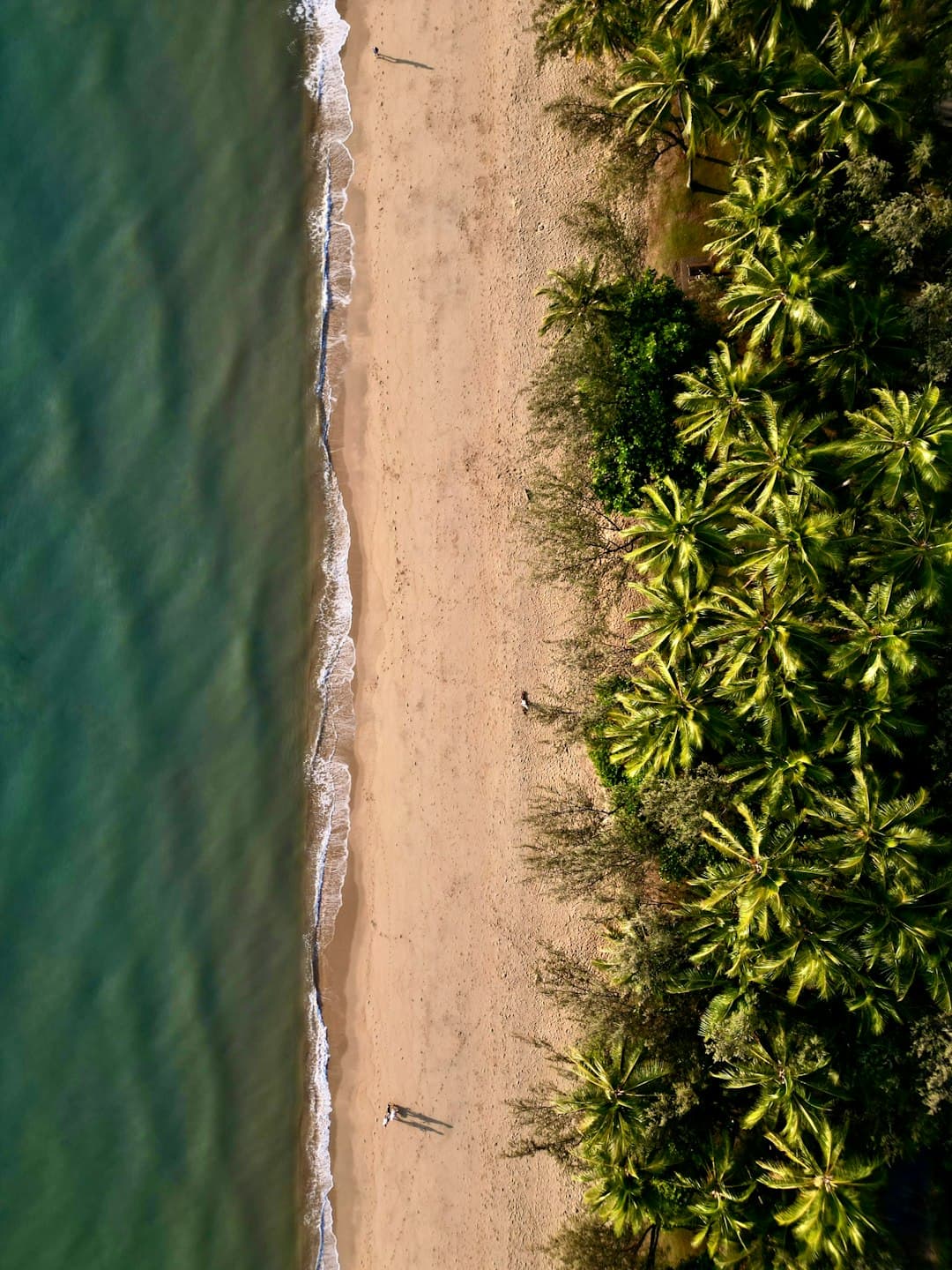 Widok na Palm Cove Beach w Cairns