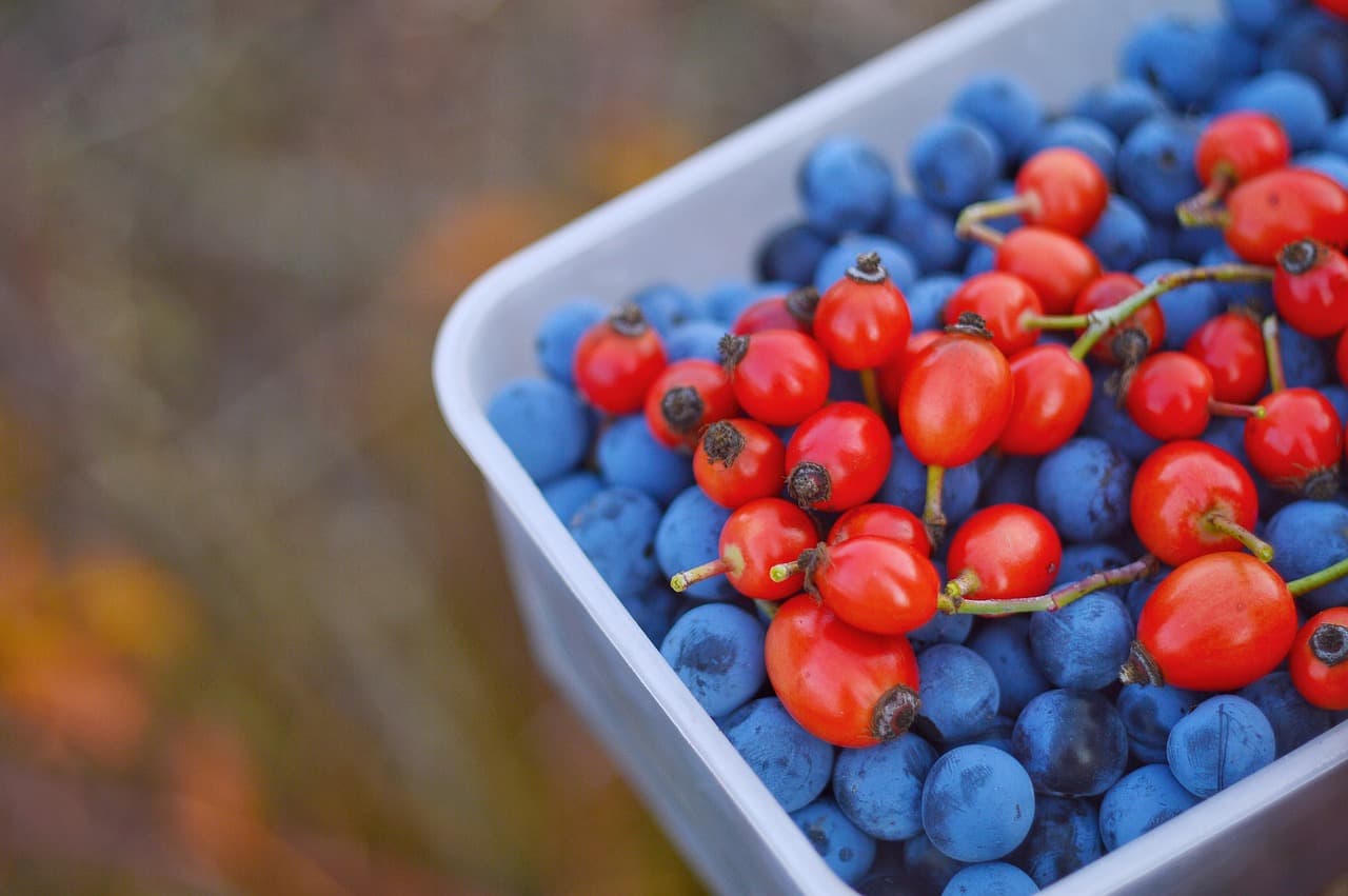 Wodospad w pobliżu Sal Rei, piękne widoki