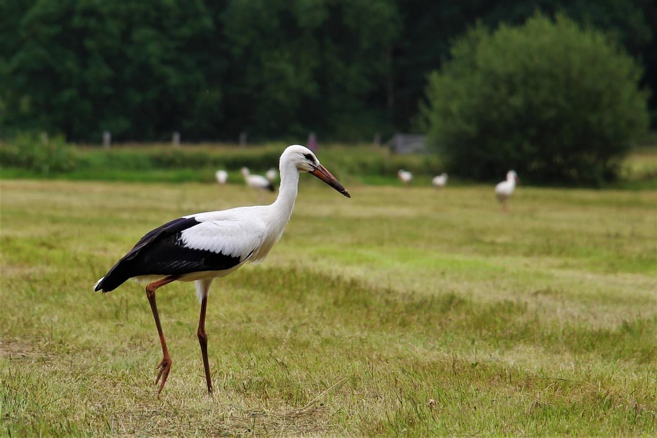 Nowoczesny budynek w Eindhoven