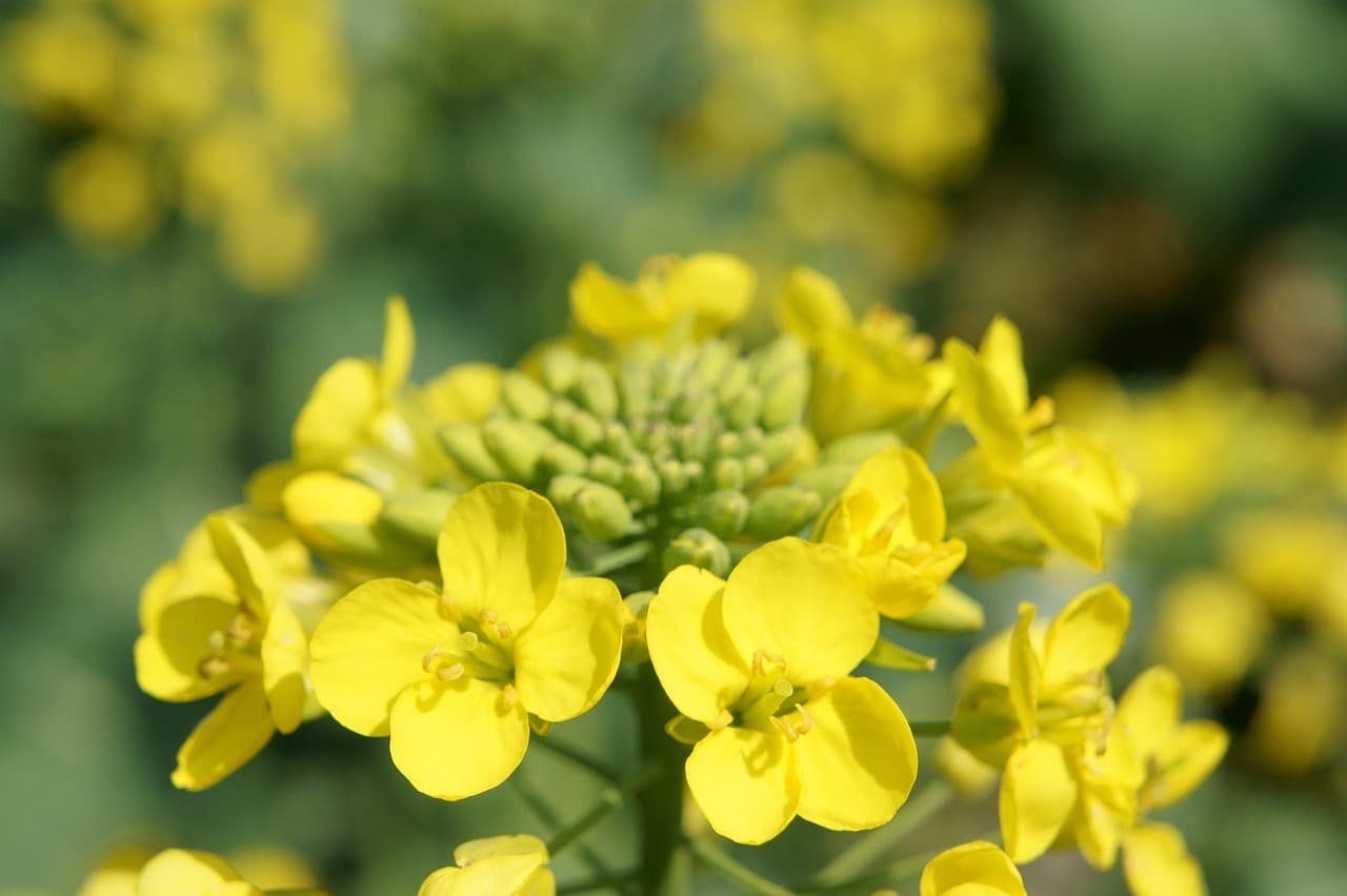 Planowanie podróży