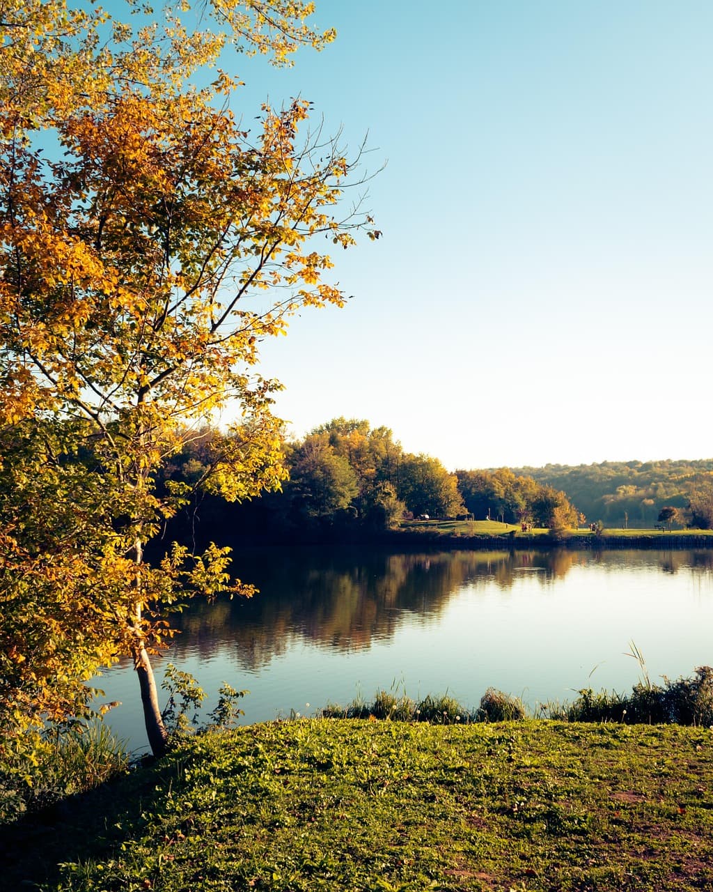 Katedra św. Piotra i Pawła w Pécs