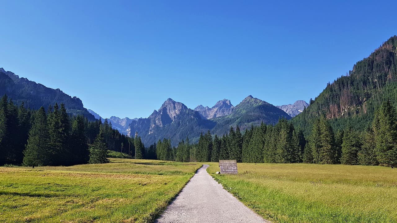 Widok na Zakrzówek.