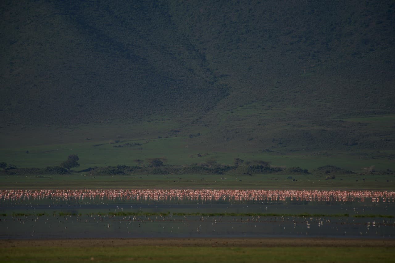 Widok na Krater Ngorongoro