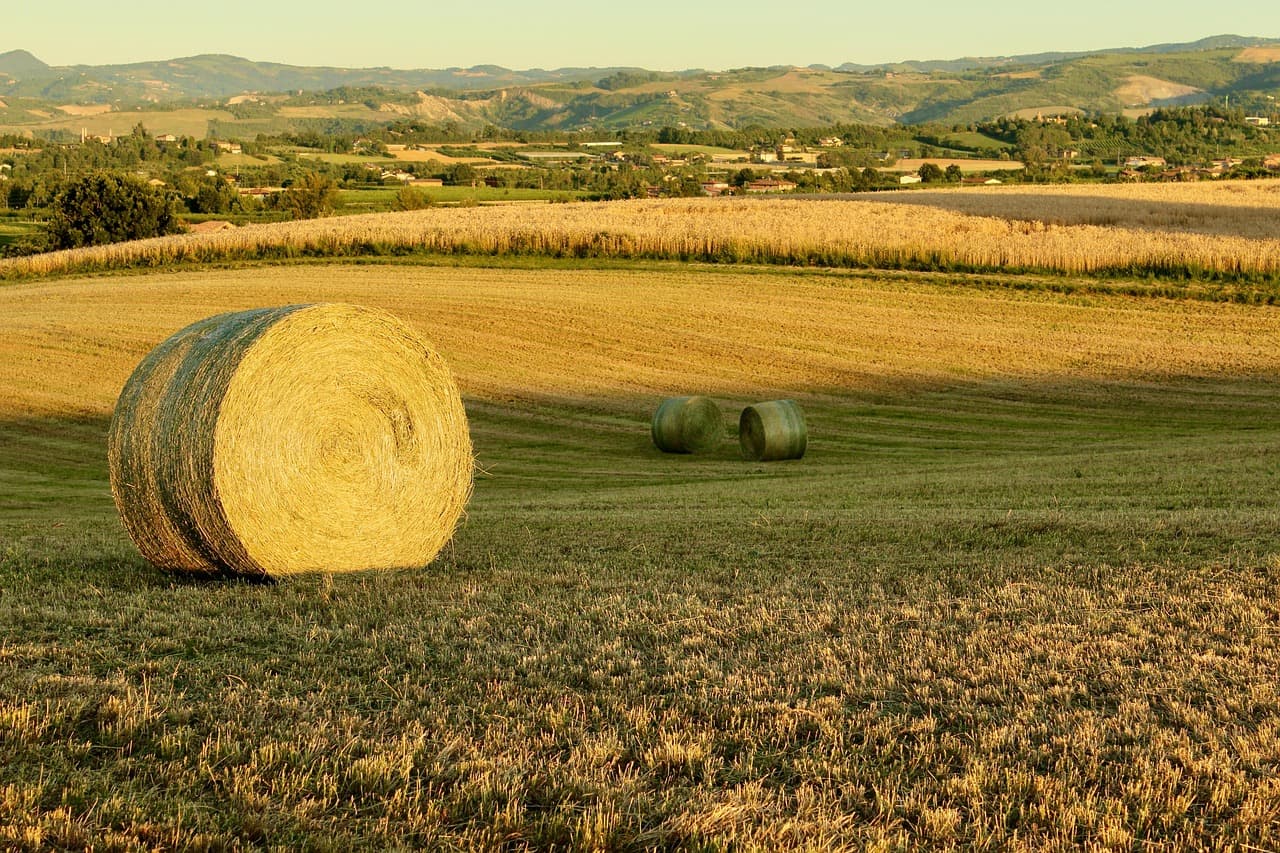 Widok na Castelvetro w słońcu