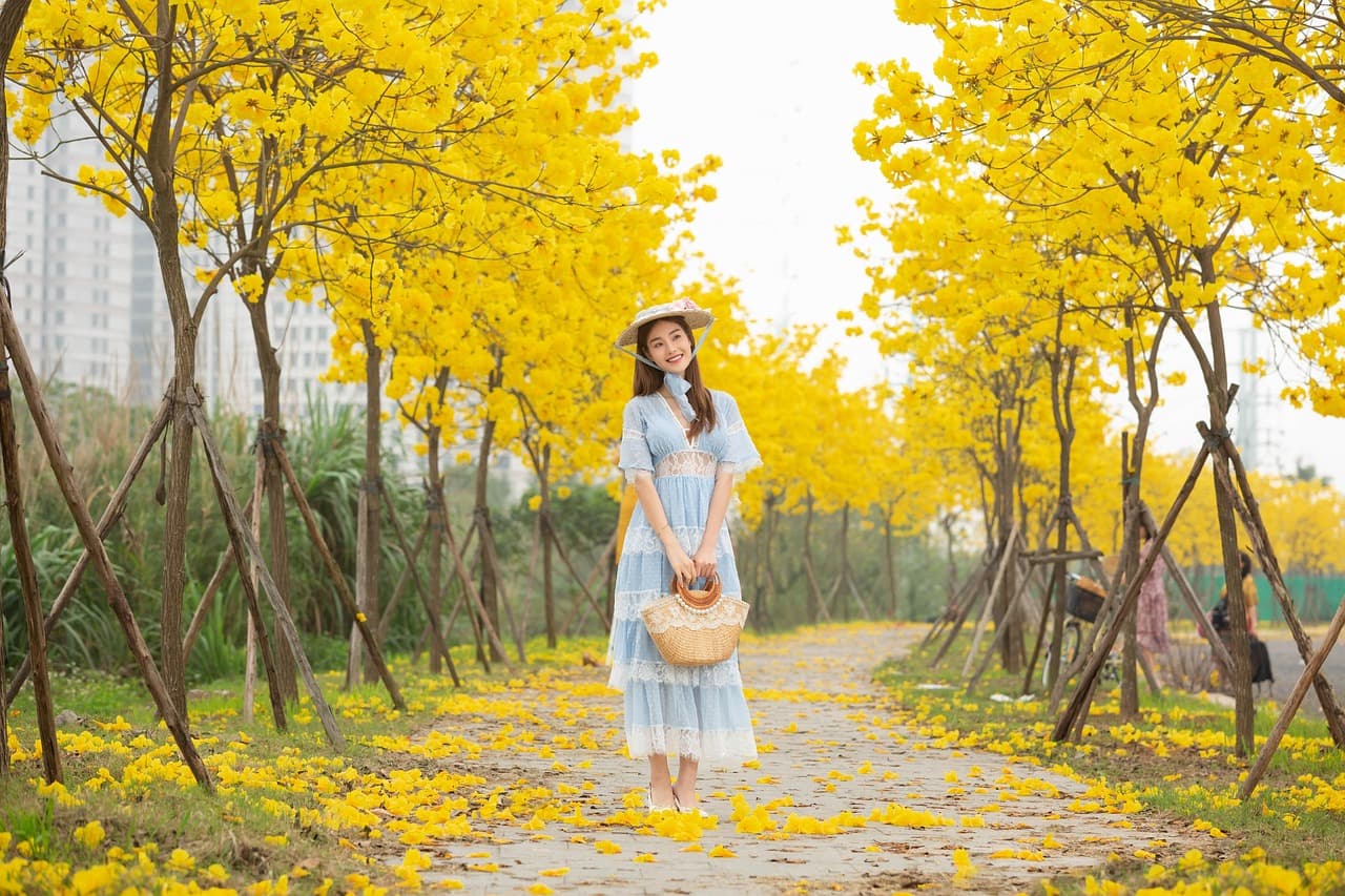 Widok na Park Narodowy Tijuca