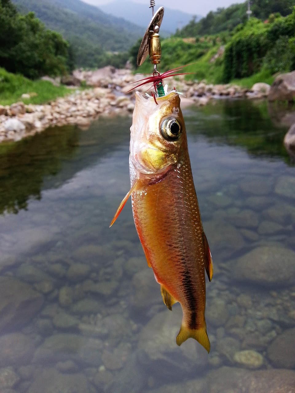 Wodospady w Paradise Valley