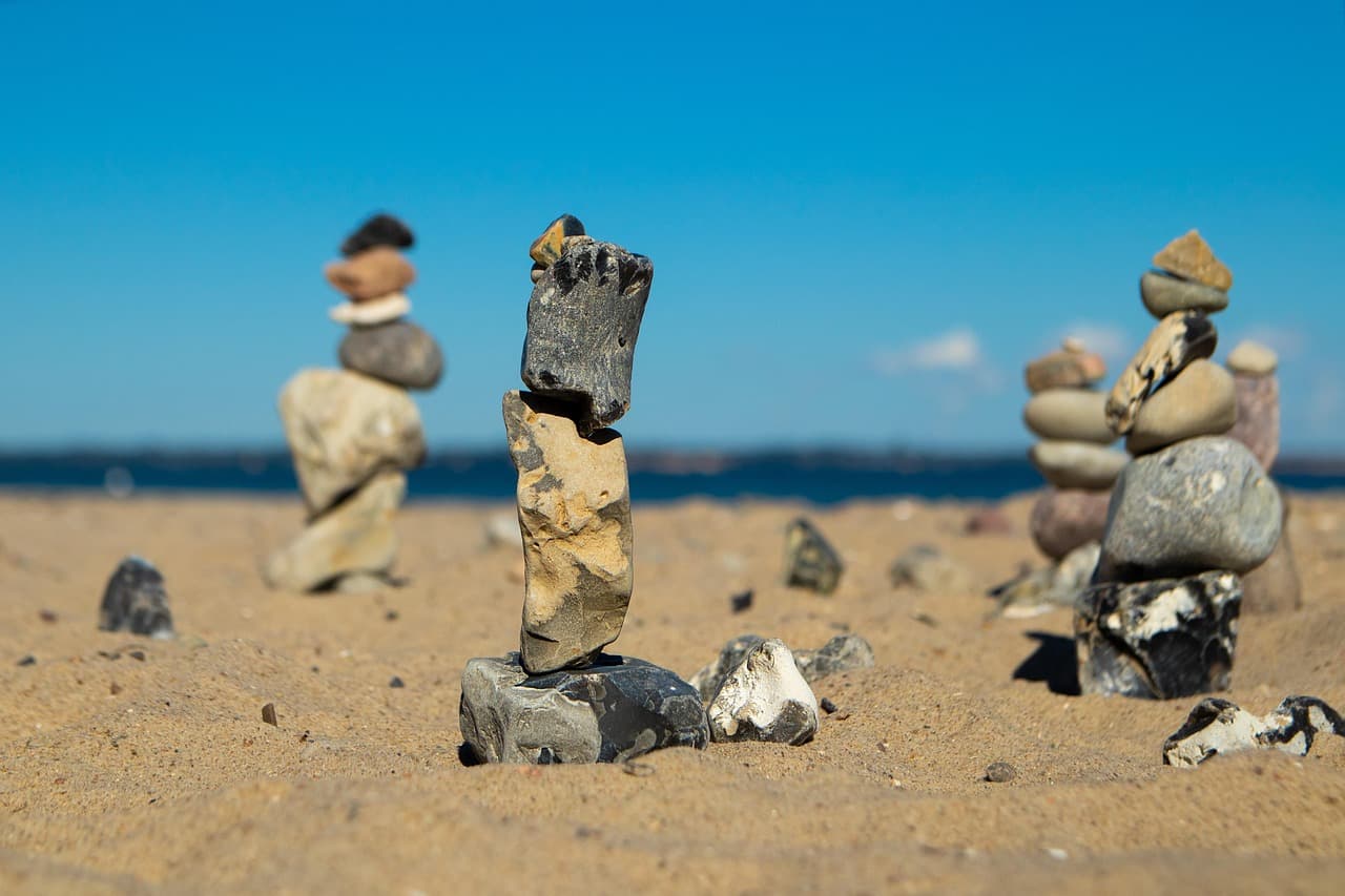 Park w Cairns z palmami