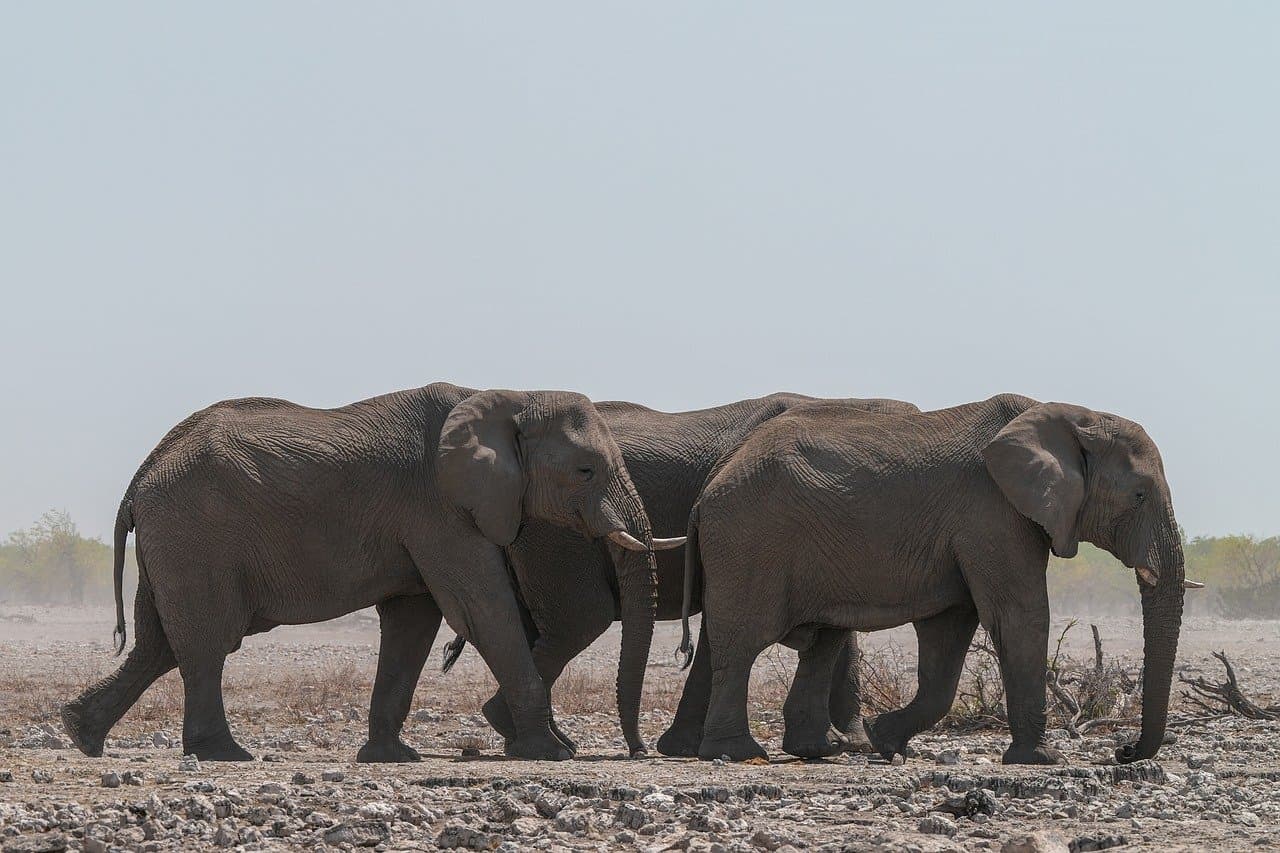 Zachwycający widok na amerykański krajobraz podczas podróży