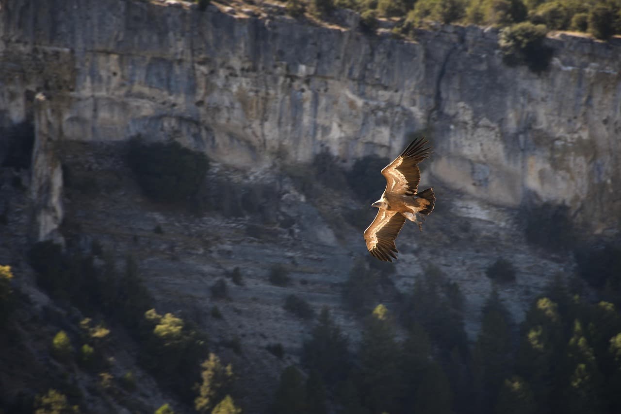 Widok z Mirador de Yanahuara