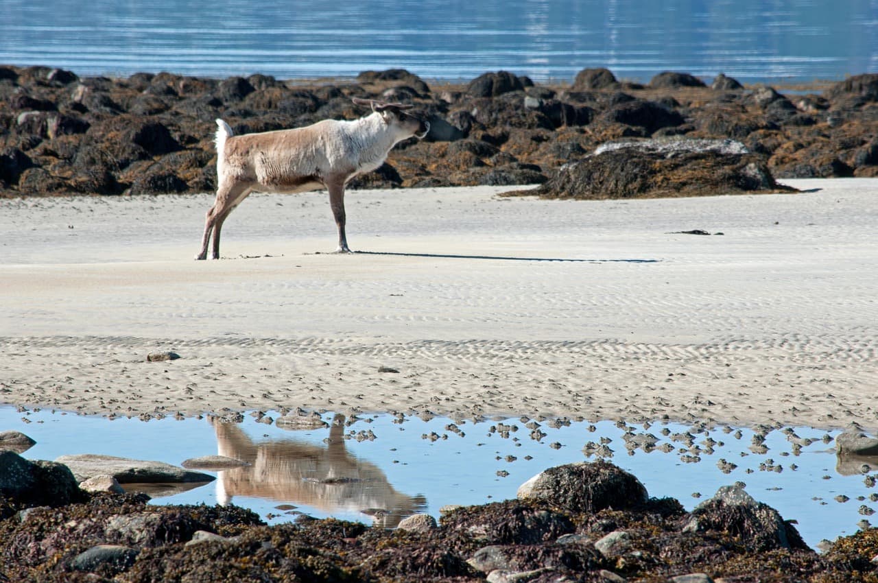 Wykwintne danie w restauracji