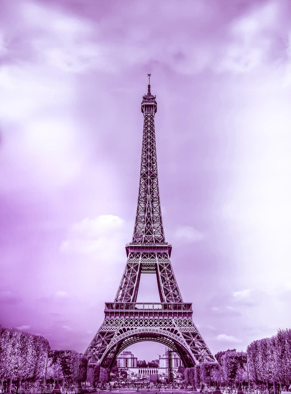 Widok z Wieży Eiffla na Paryż