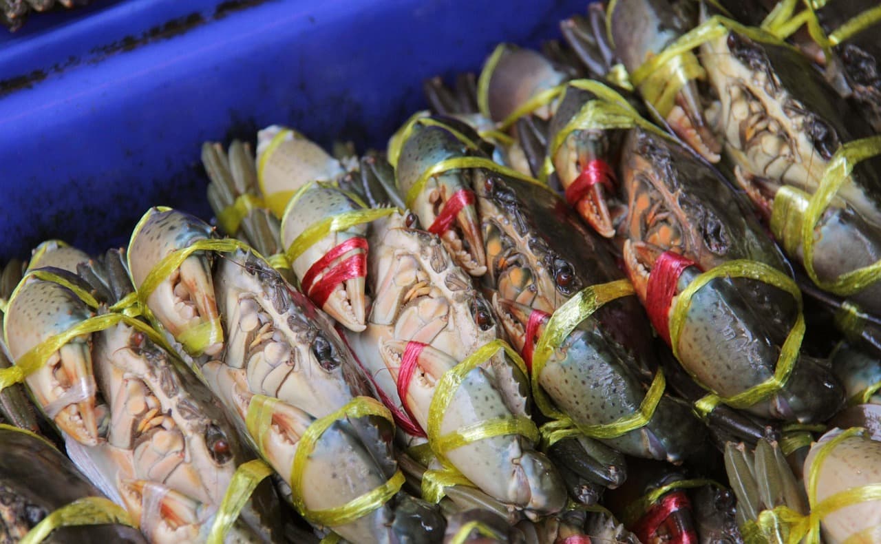 Nachosy krabowe z M de Mar