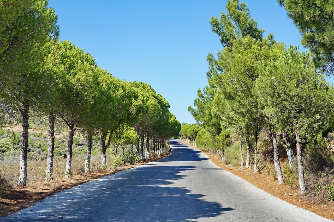 Krajobraz Peczu zachęcający do odwiedzin