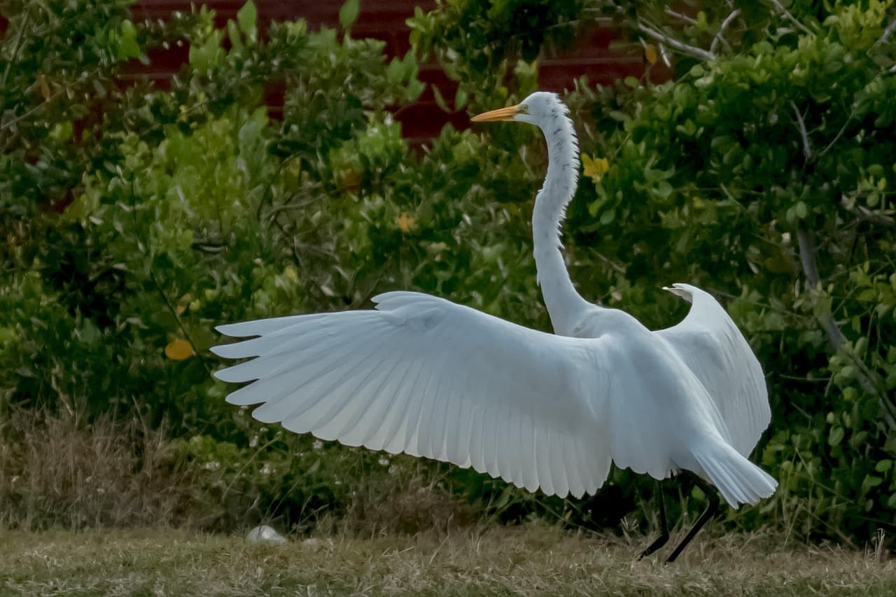 Życie nocne na Cayo Santa Maria
