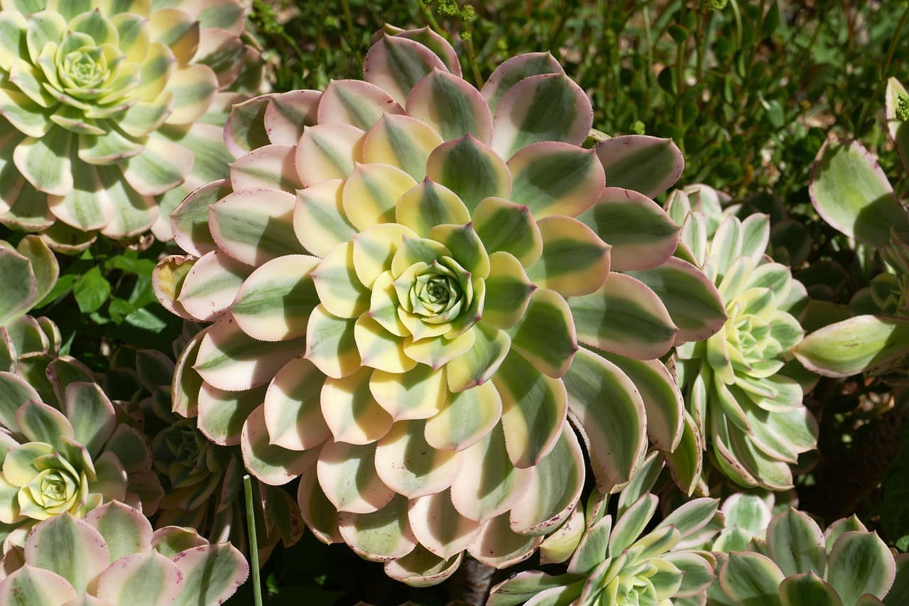 Plaża w Tossa de Mar