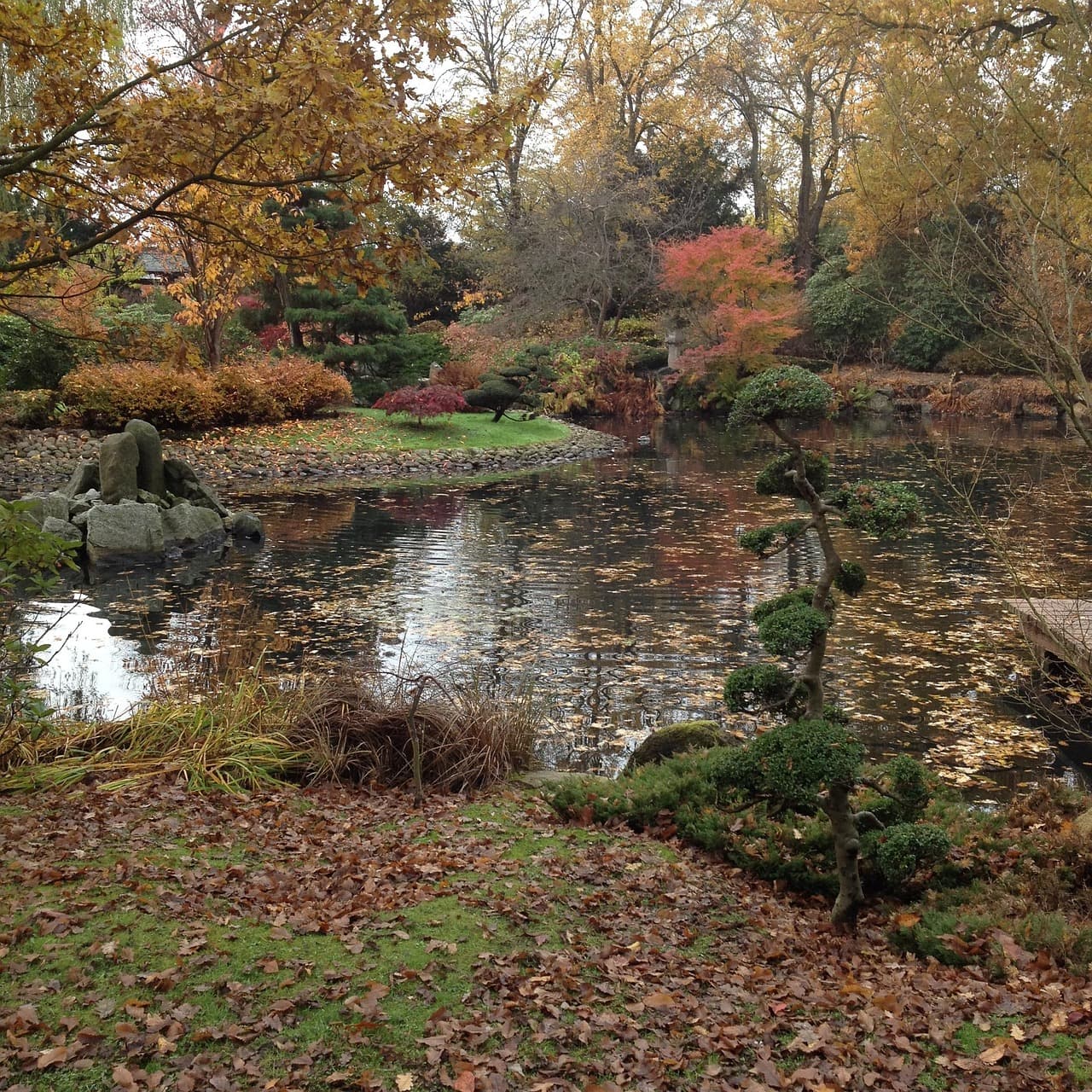 Wrocław Ogród Japoński wiosną