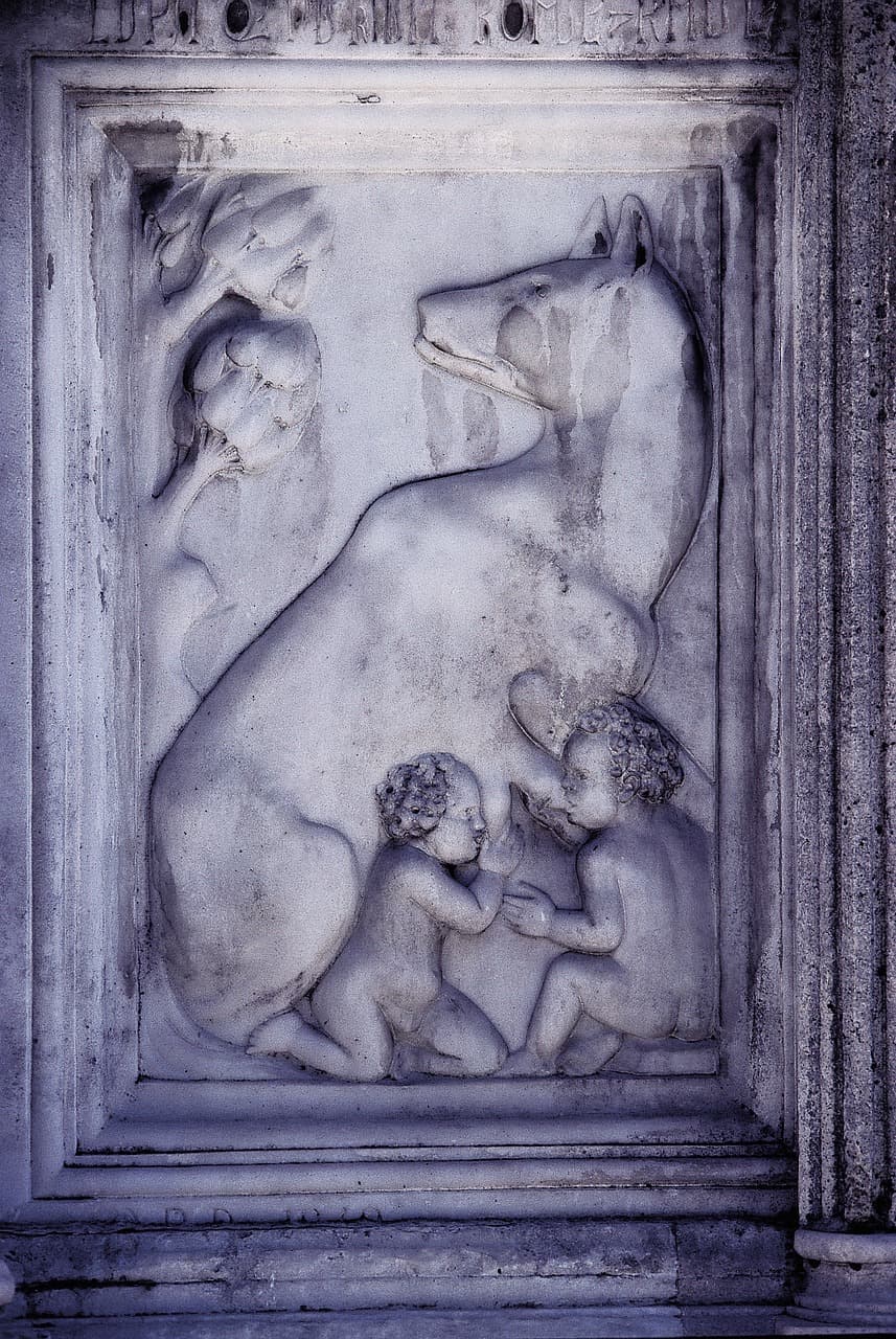 Podwodne życie na Malediwach z rafą koralową