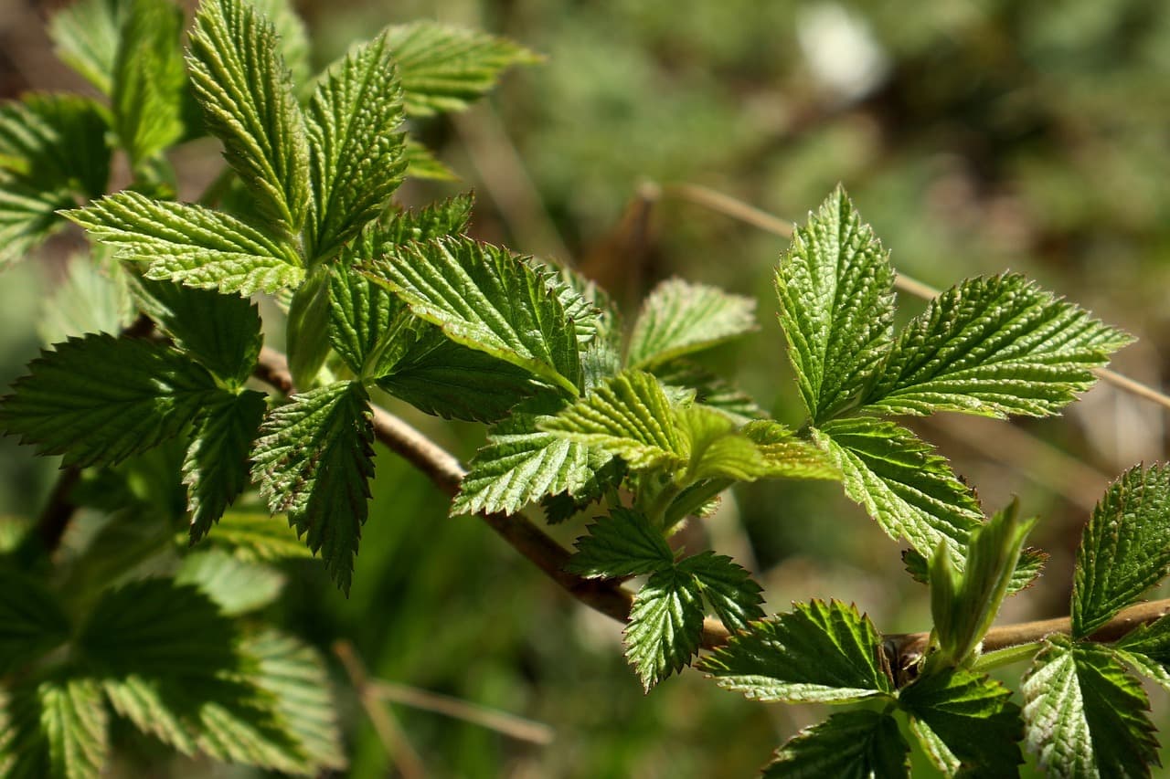 Lista atrakcji turystycznych