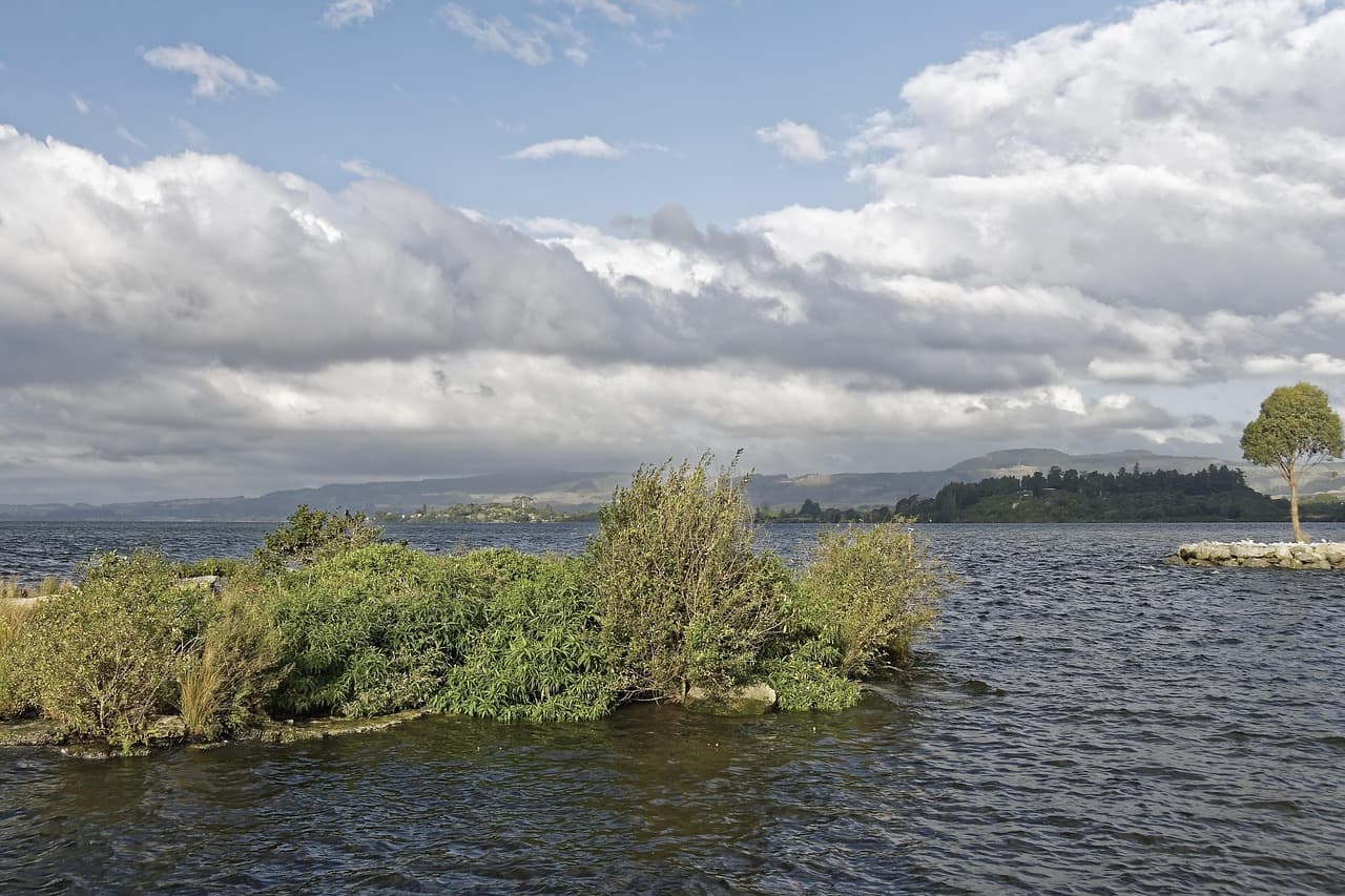 Tradycyjne Maoryskie Hāngī w Rotorua