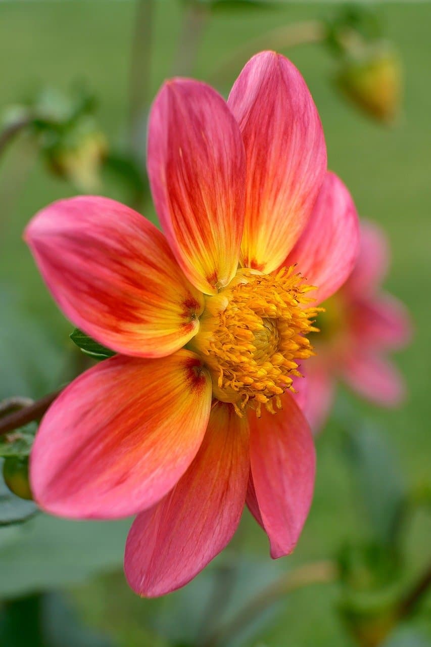 Widok Ogrodu Botanicznego w Antalyi