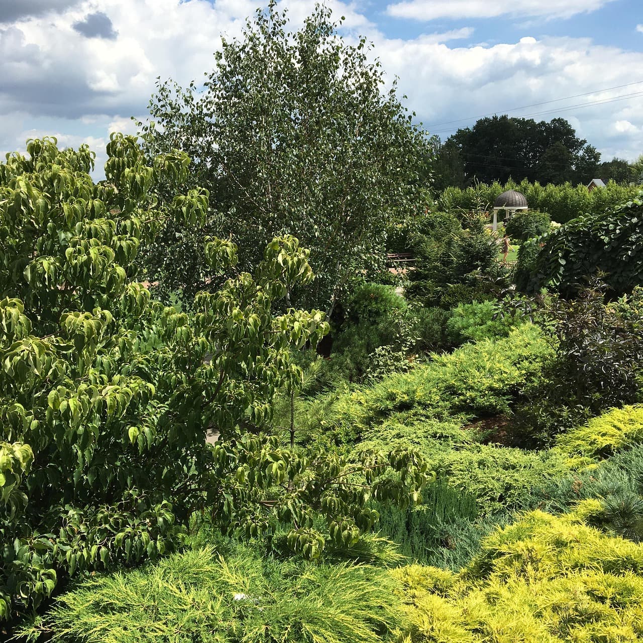 Widok z Sky Garden na Londyn