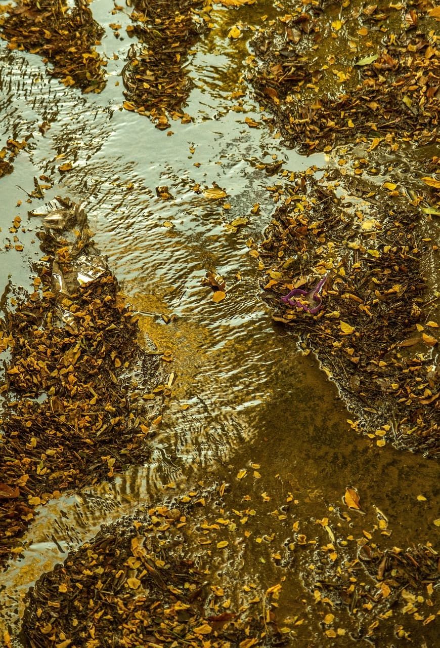 Rejs po kanałach Brugii