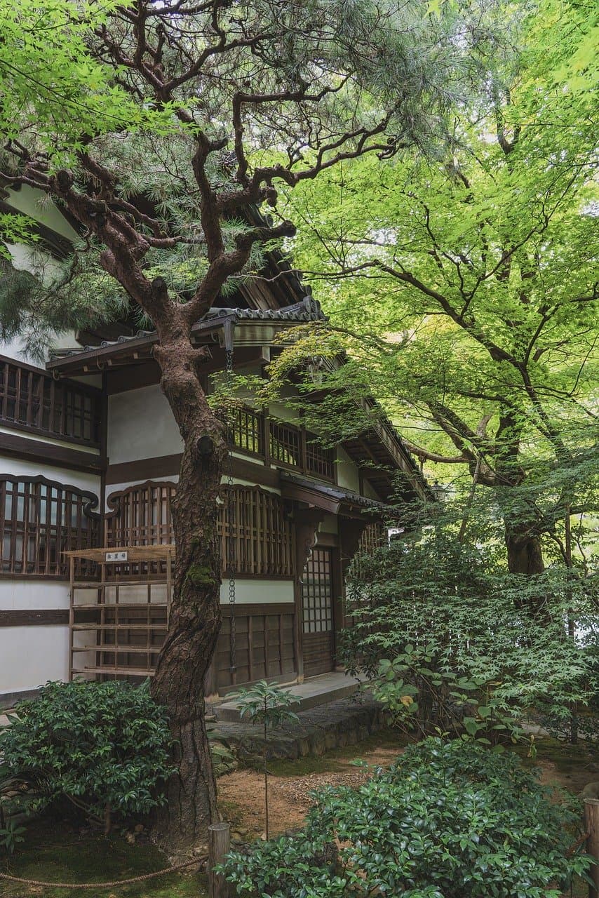 Horyzont Malediwów z palmami na tle nieba