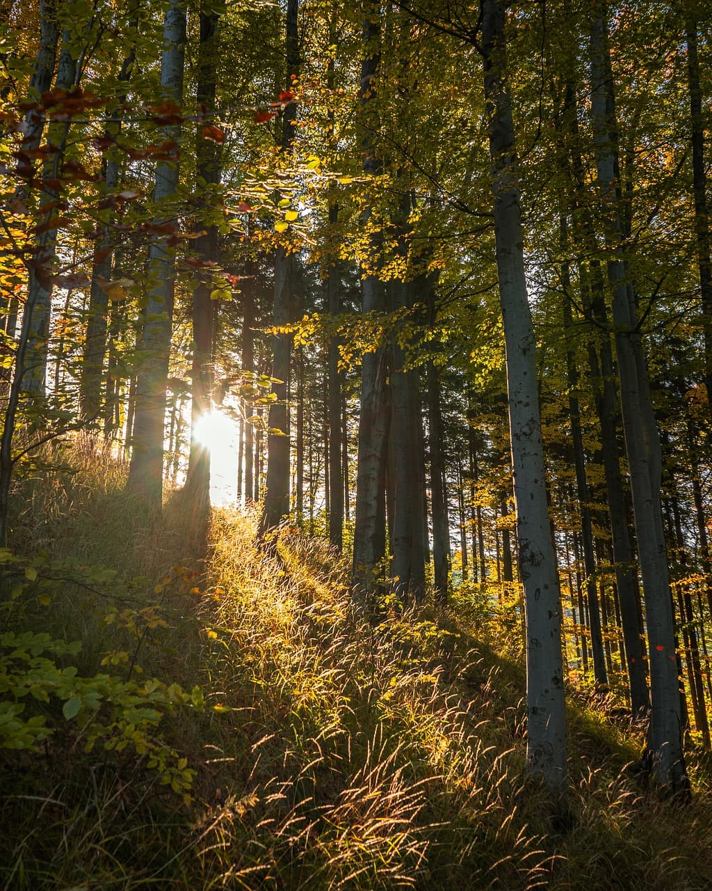 Zachęcający krajobraz warto zobaczyć