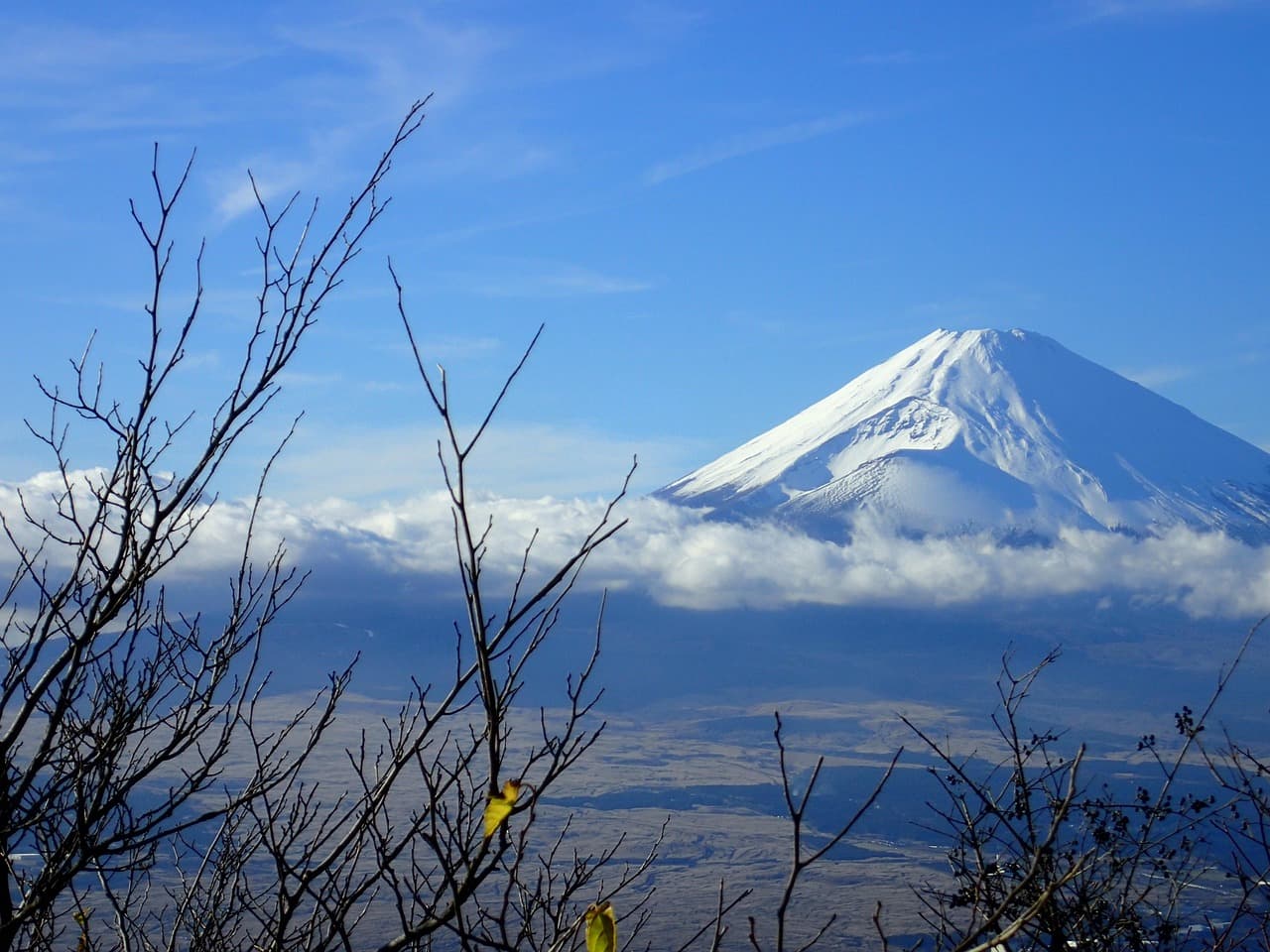 Widok na górę Fuji z Hakone