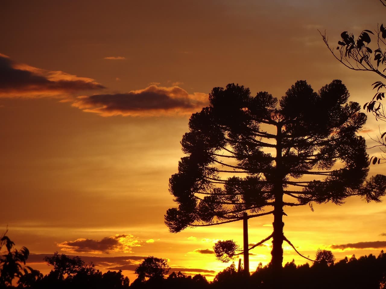 Widok na Florianópolis z Morro do Rapa Sul