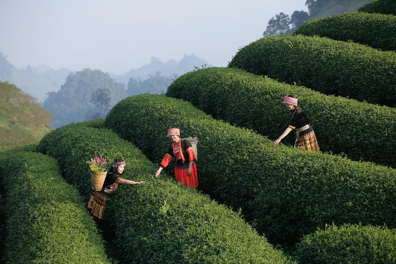 Romantyczna kolacja przy zachodzie słońca na Fidżi