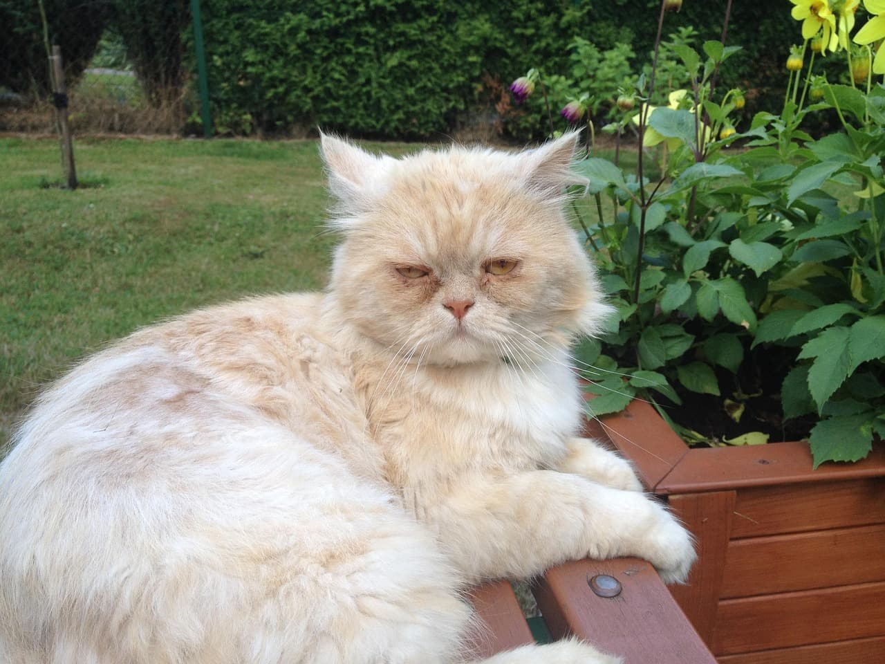 Piękny krajobraz Czarnogóry jako zachęta do podróży