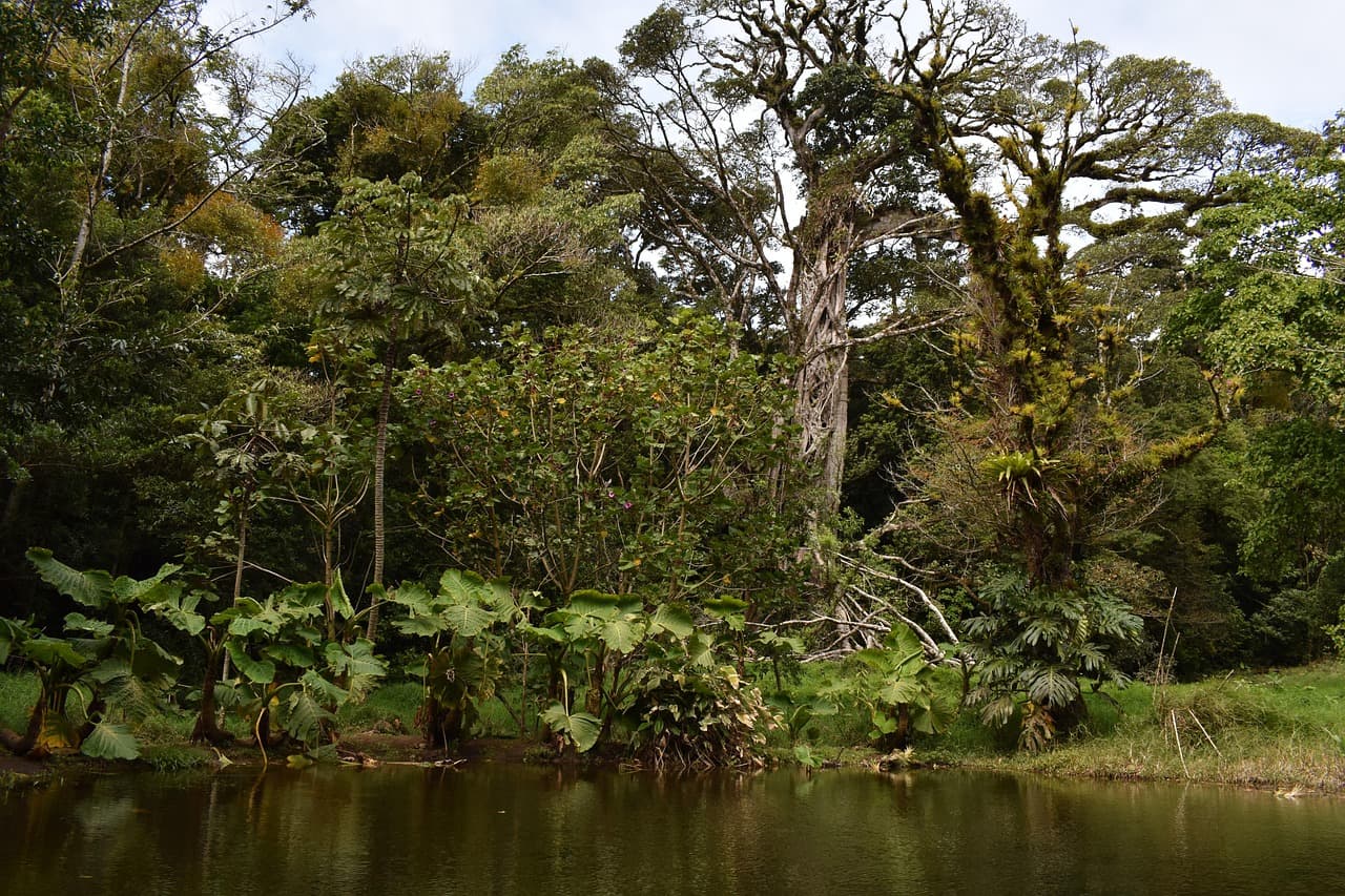 Zachód słońca z Monte Verde