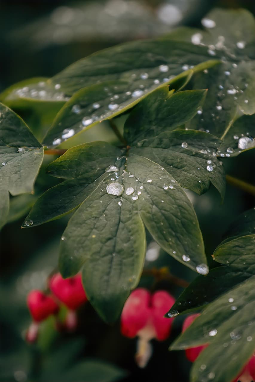 Piękny krajobraz norweskiej przyrody