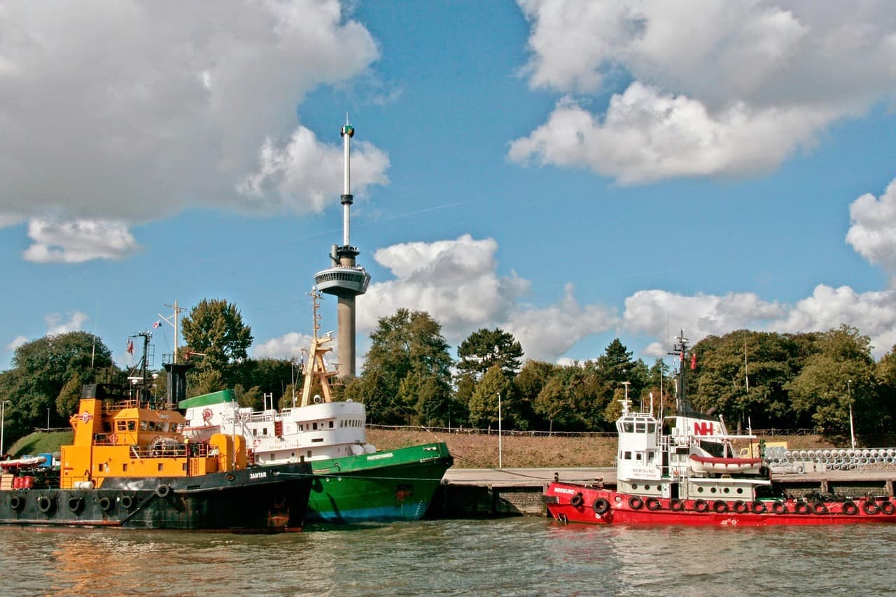 Widok na most Erazma z wieży Euromast