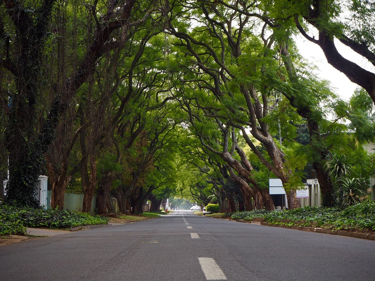 Widok na miasto Johannesburg