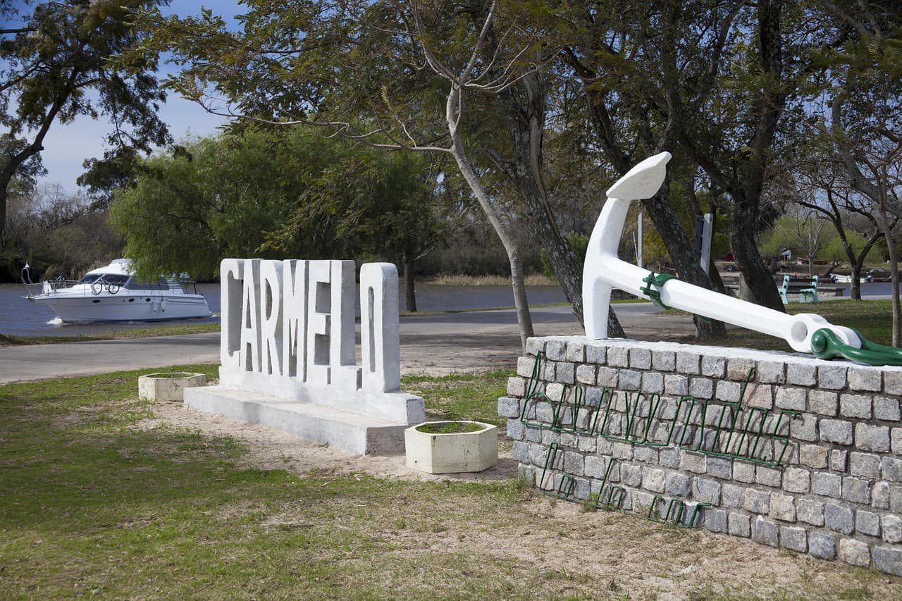 Degustacja win w Carmelo